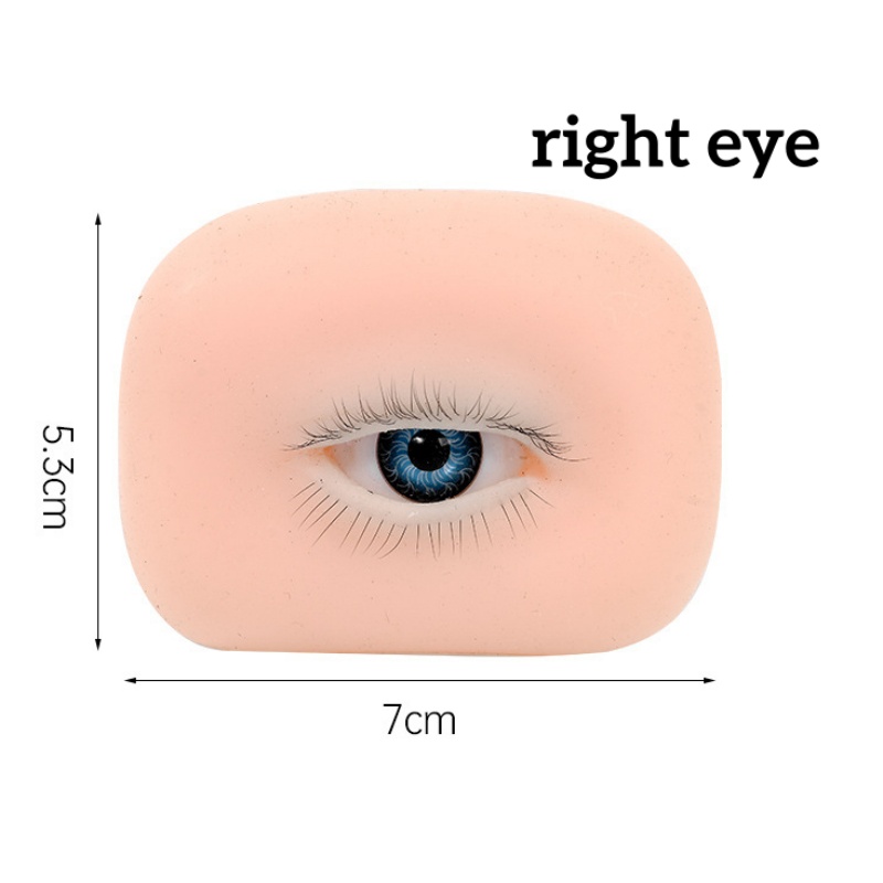 رأس مانيكان واقعي ثلاثي الطبقا - مراجعة Eyelash Extension Open Eye وسعره
