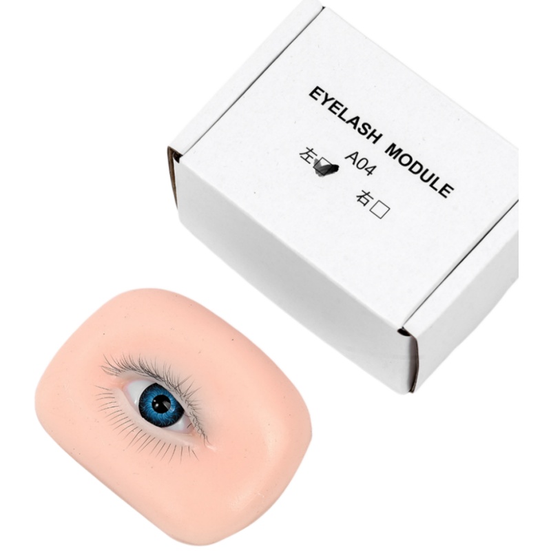 رأس مانيكان واقعي ثلاثي الطبقا - مراجعة Eyelash Extension Open Eye وسعره