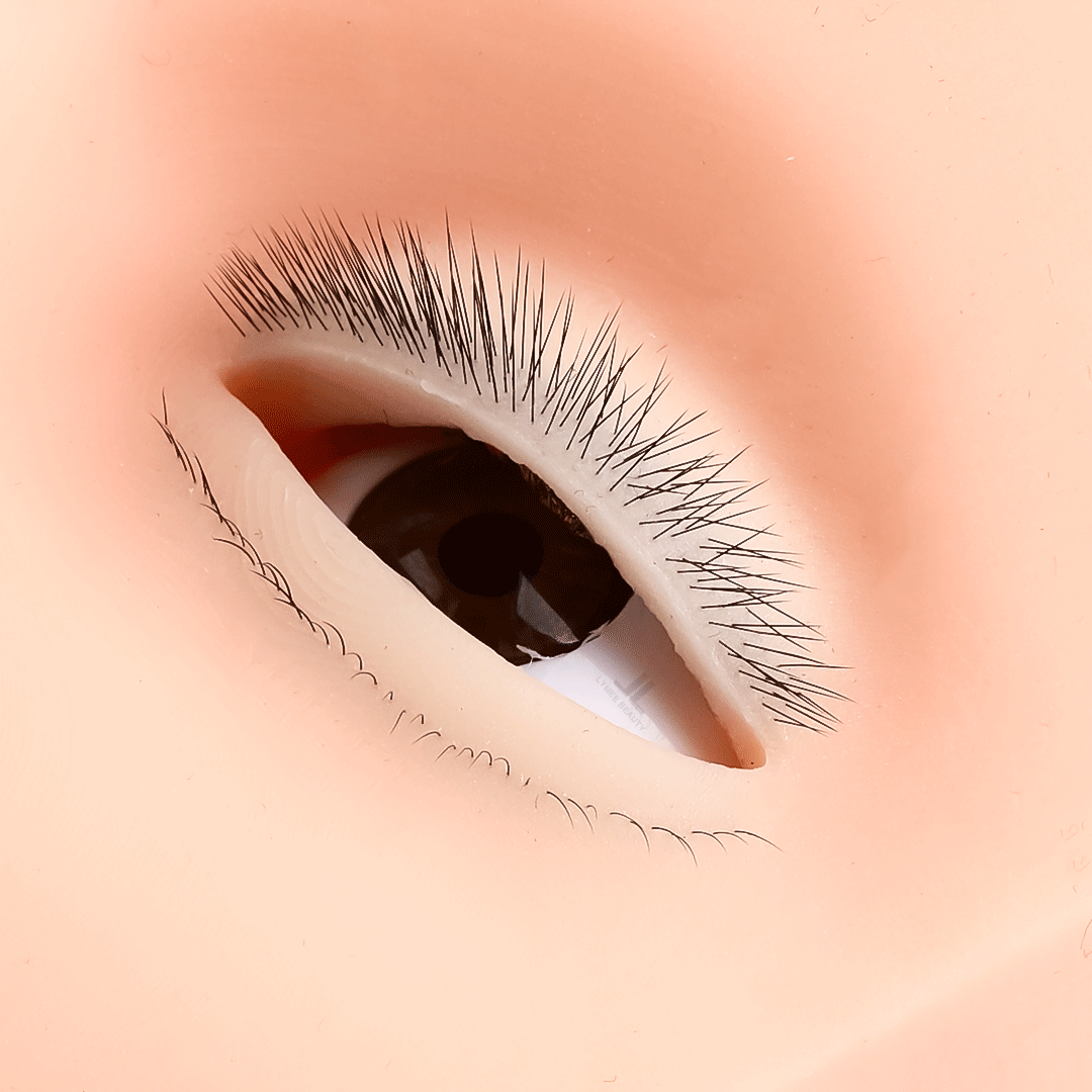 عارضة أزياء صغيرة مكونة من 4 ط - مراجعة Eyelash Extension Open Eye وسعره