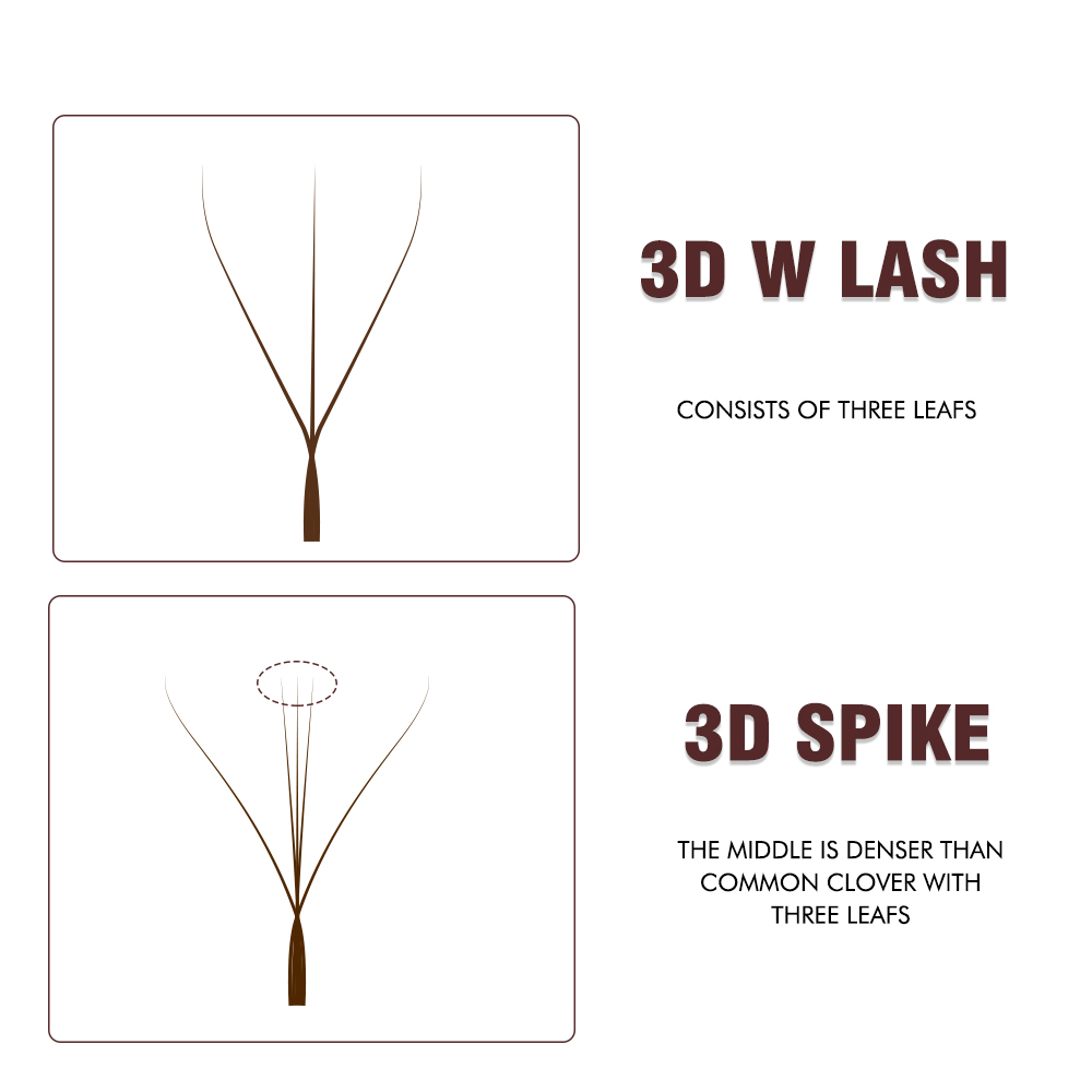 رموش AGUUD L M بنية على شكل W  - مراجعة Eyelash Extension Yy وسعره